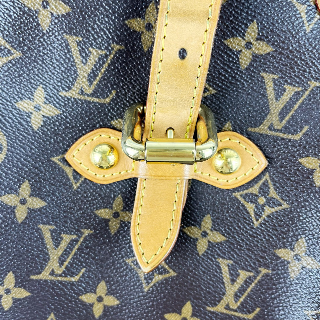 Louis Vuitton Brown