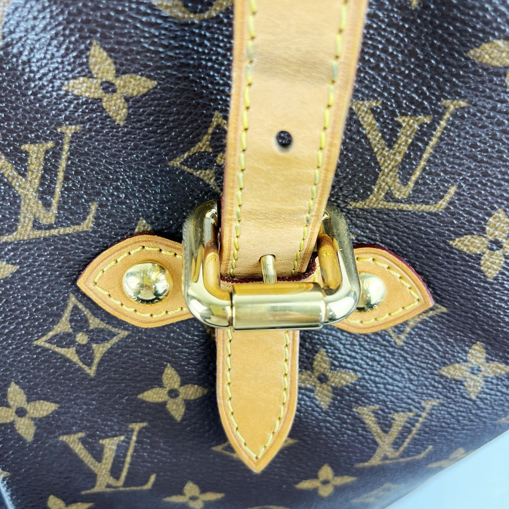Louis Vuitton Brown