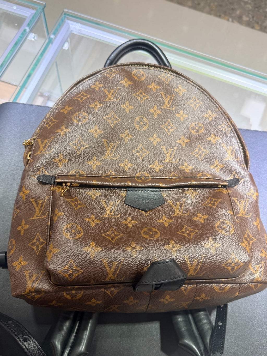 Louis Vuitton Backpack
