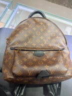 Louis Vuitton Backpack