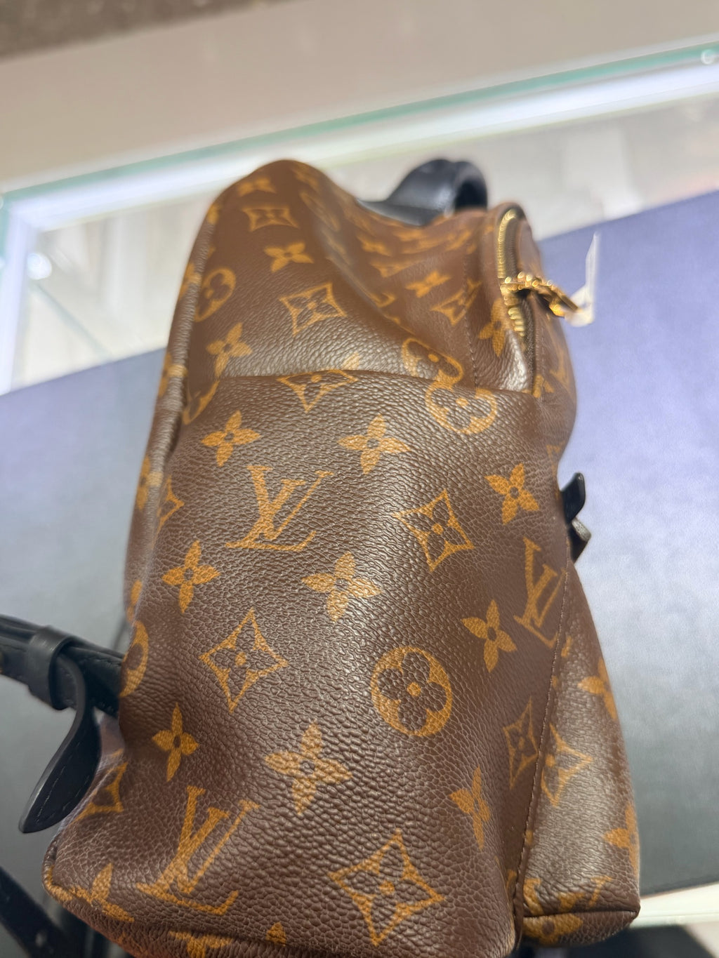 Louis Vuitton Backpack