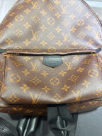 Louis Vuitton Backpack
