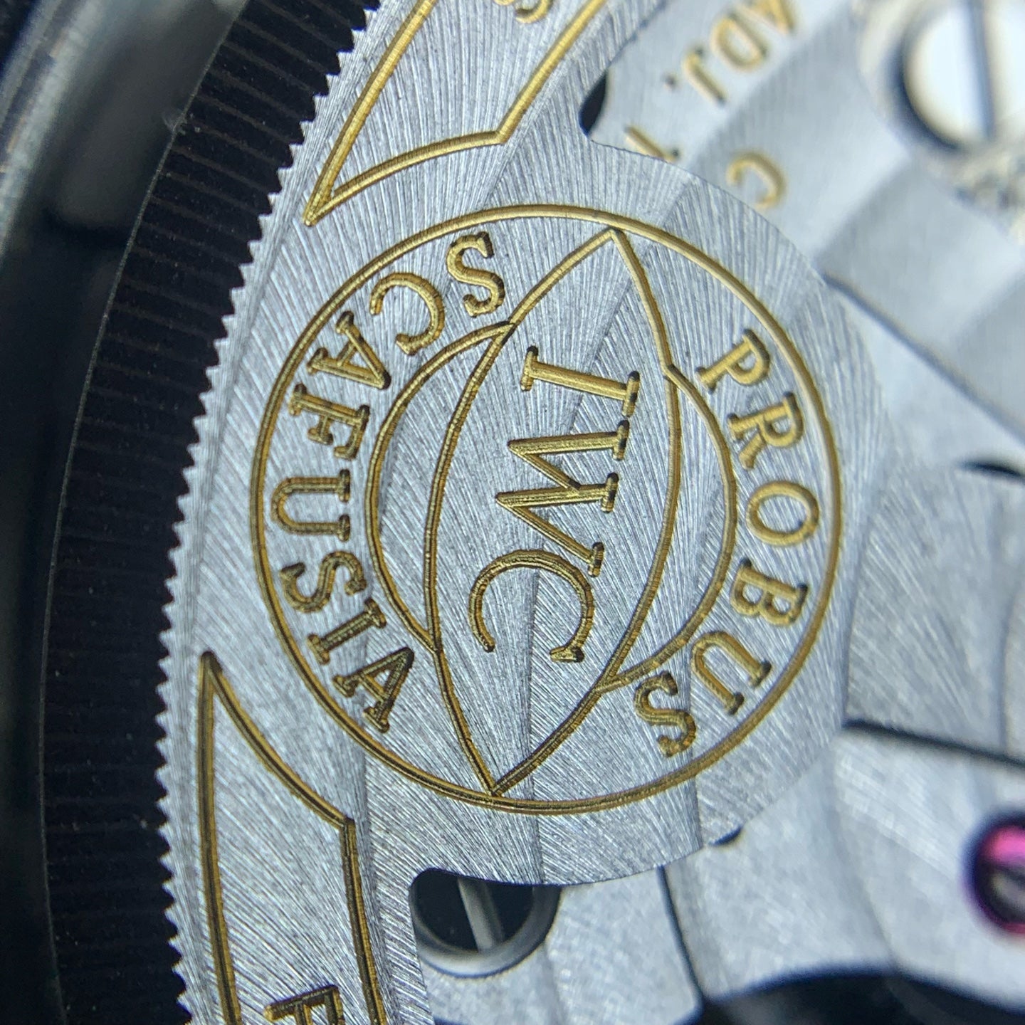 IWC Pilot’s watch 46.0 IW395001