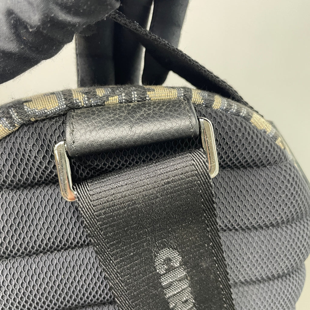 Dior Backpack