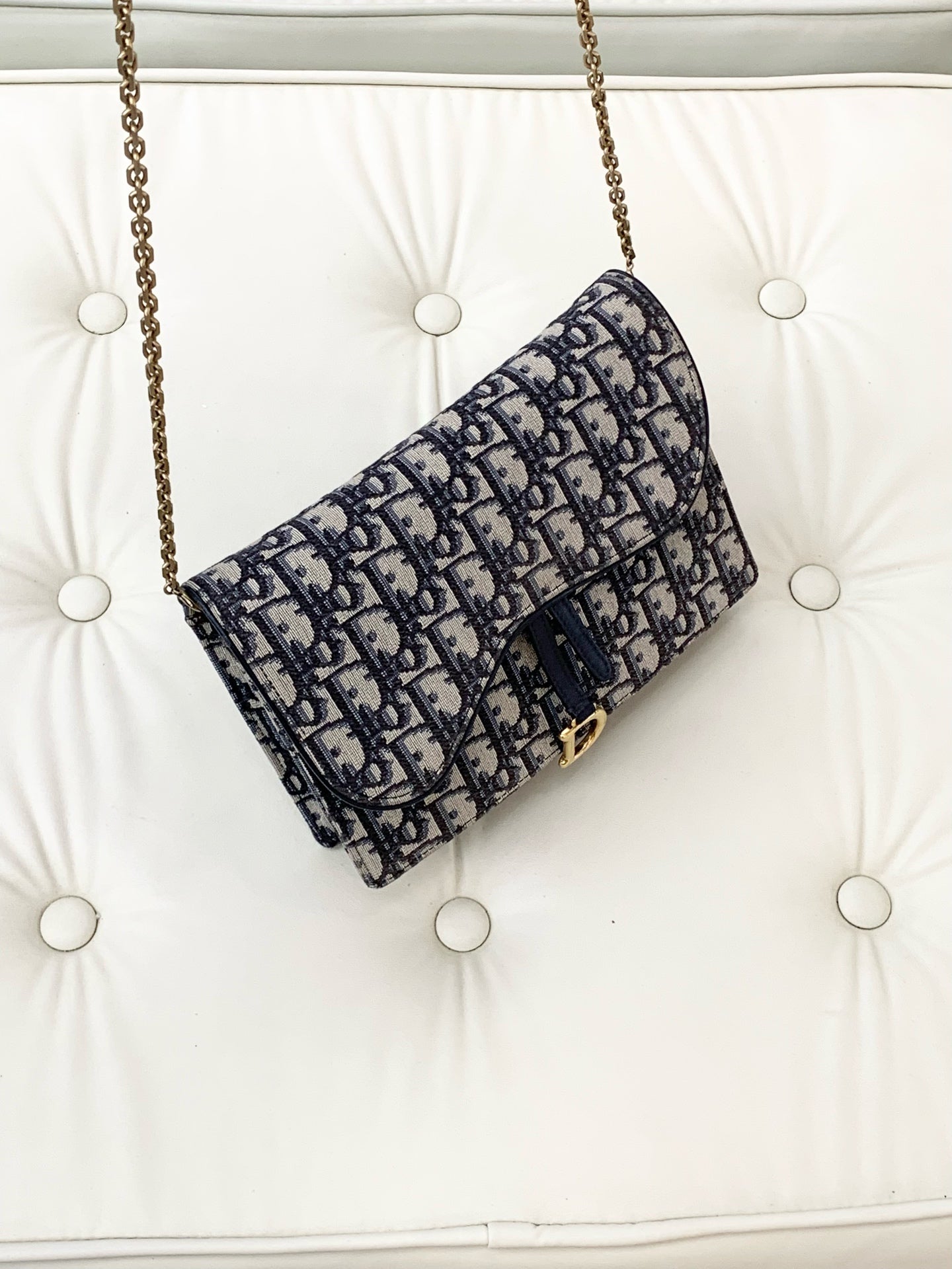Dior Canvas Blue Crossbody