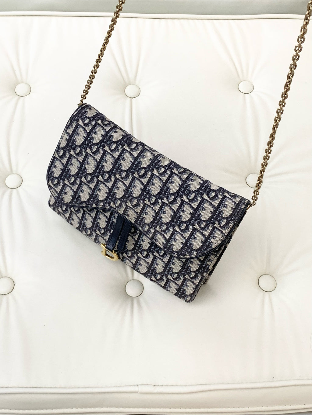 Dior Canvas Blue Crossbody