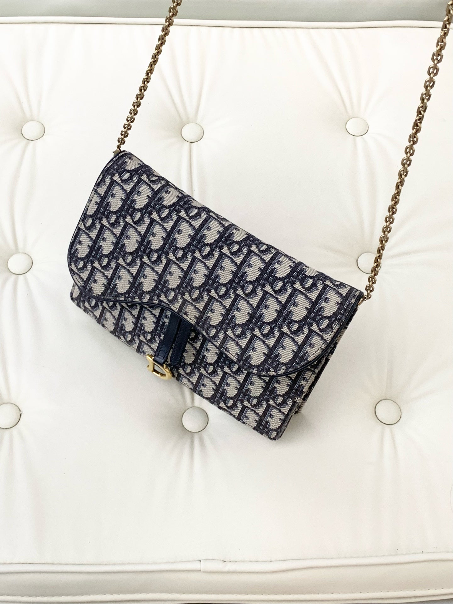Dior Canvas Blue Crossbody