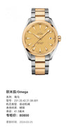 Omega Seahorse 41.5 millimeters 231.20.42.21.08.001