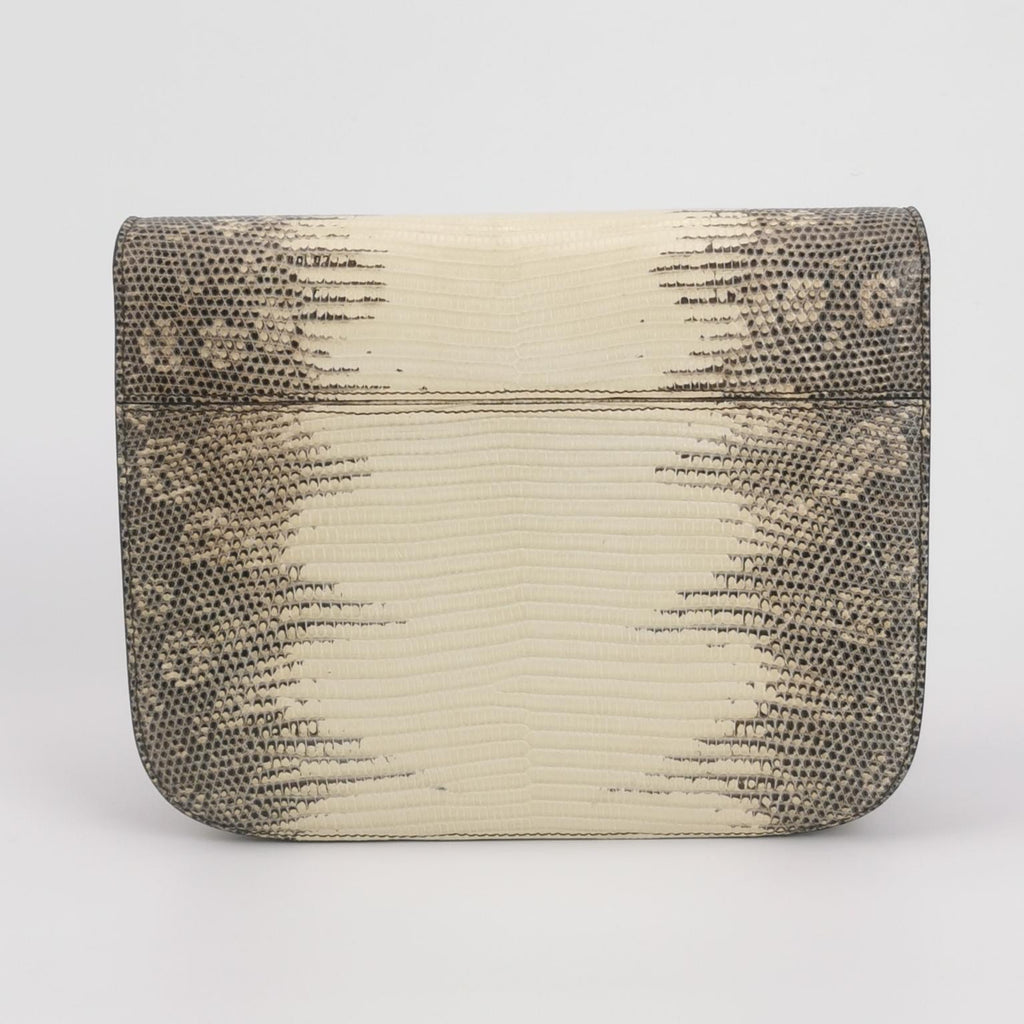 Celine 164174TLC.02VG