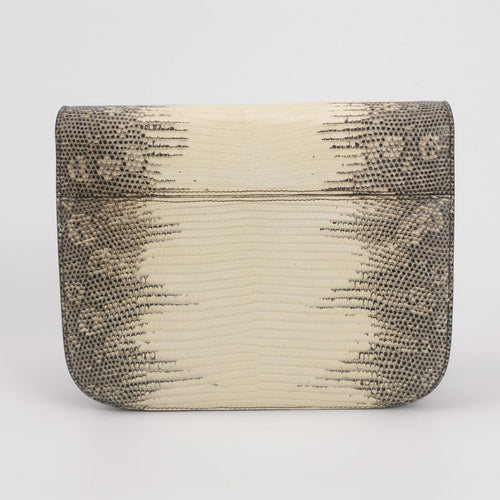 Celine 164174TLC.02VG
