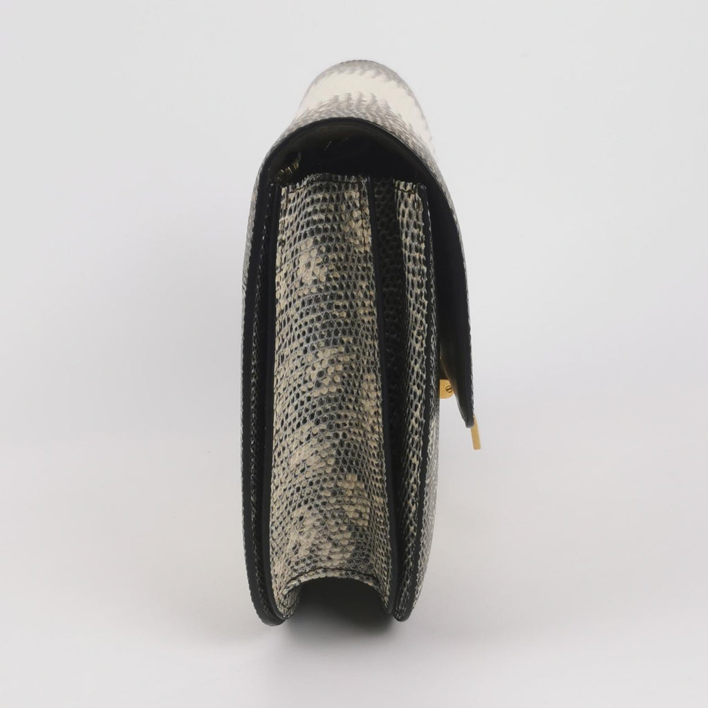 Celine 164174TLC.02VG