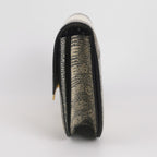 Celine 164174TLC.02VG