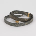 Celine 164174TLC.02VG