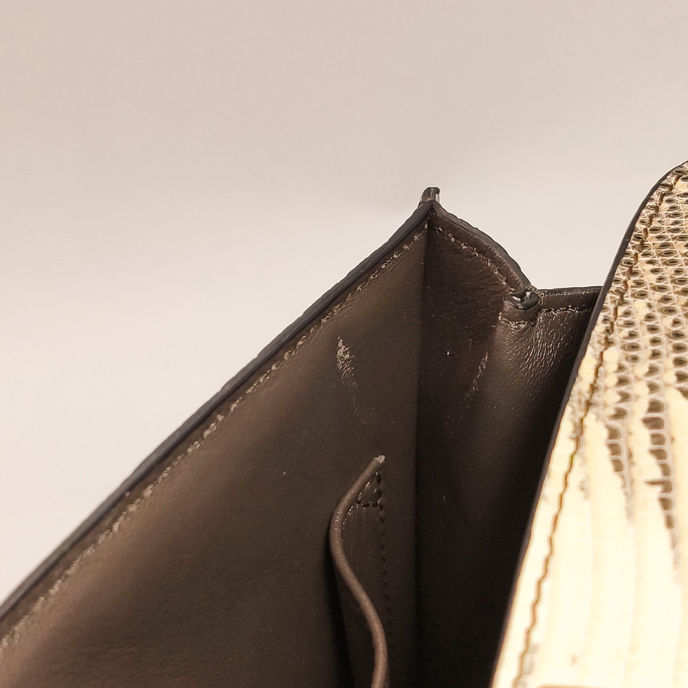 Celine 164174TLC.02VG