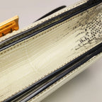 Celine 164174TLC.02VG