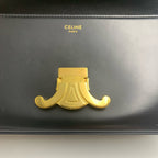 Celine TRIOMPHE Glossy Cowhide Shoulder Bag 194143BF4.38NO
