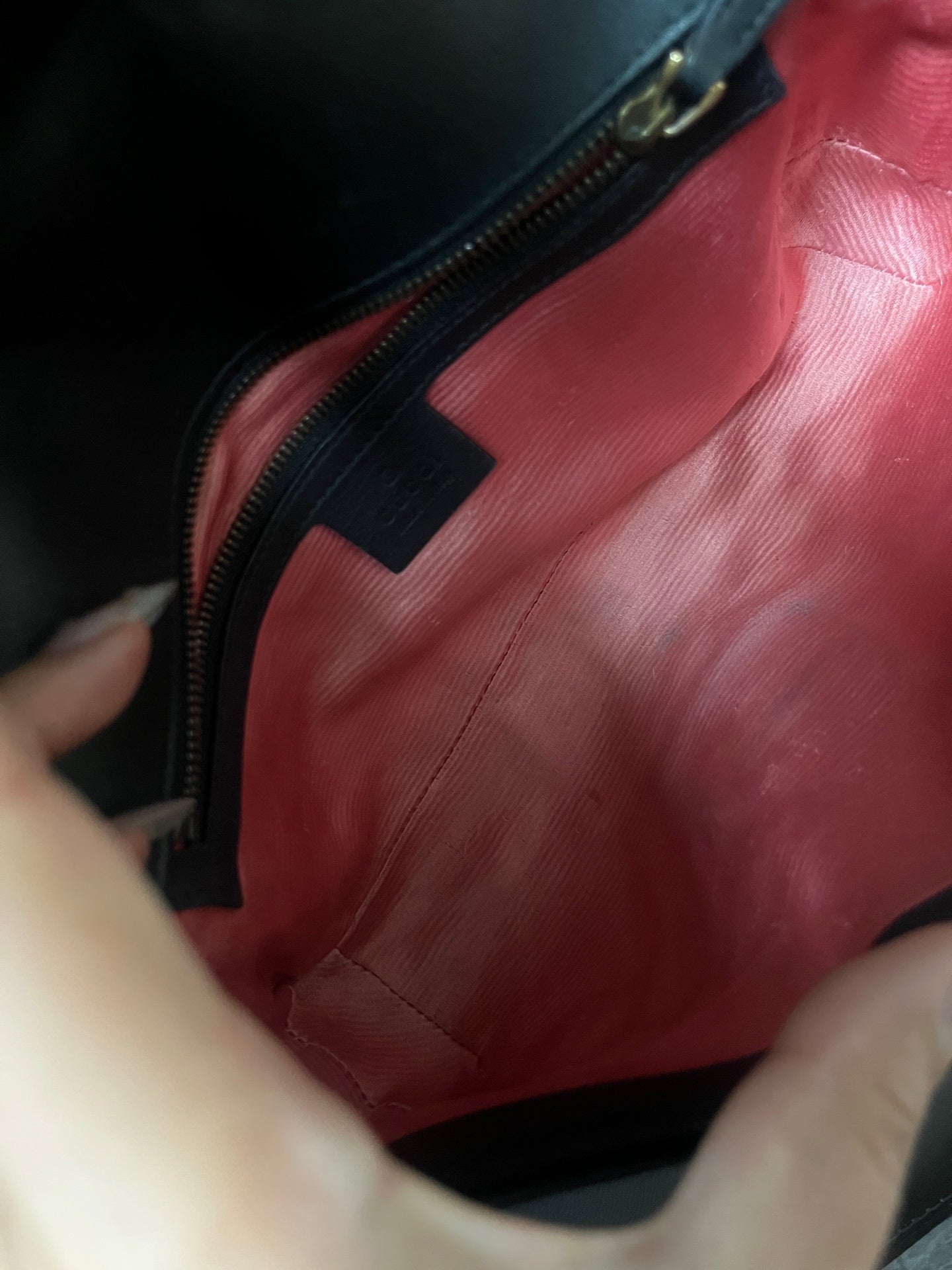 Gucci Velvet
