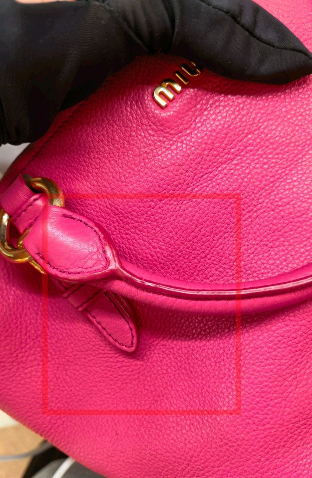 Miu Miu Tote