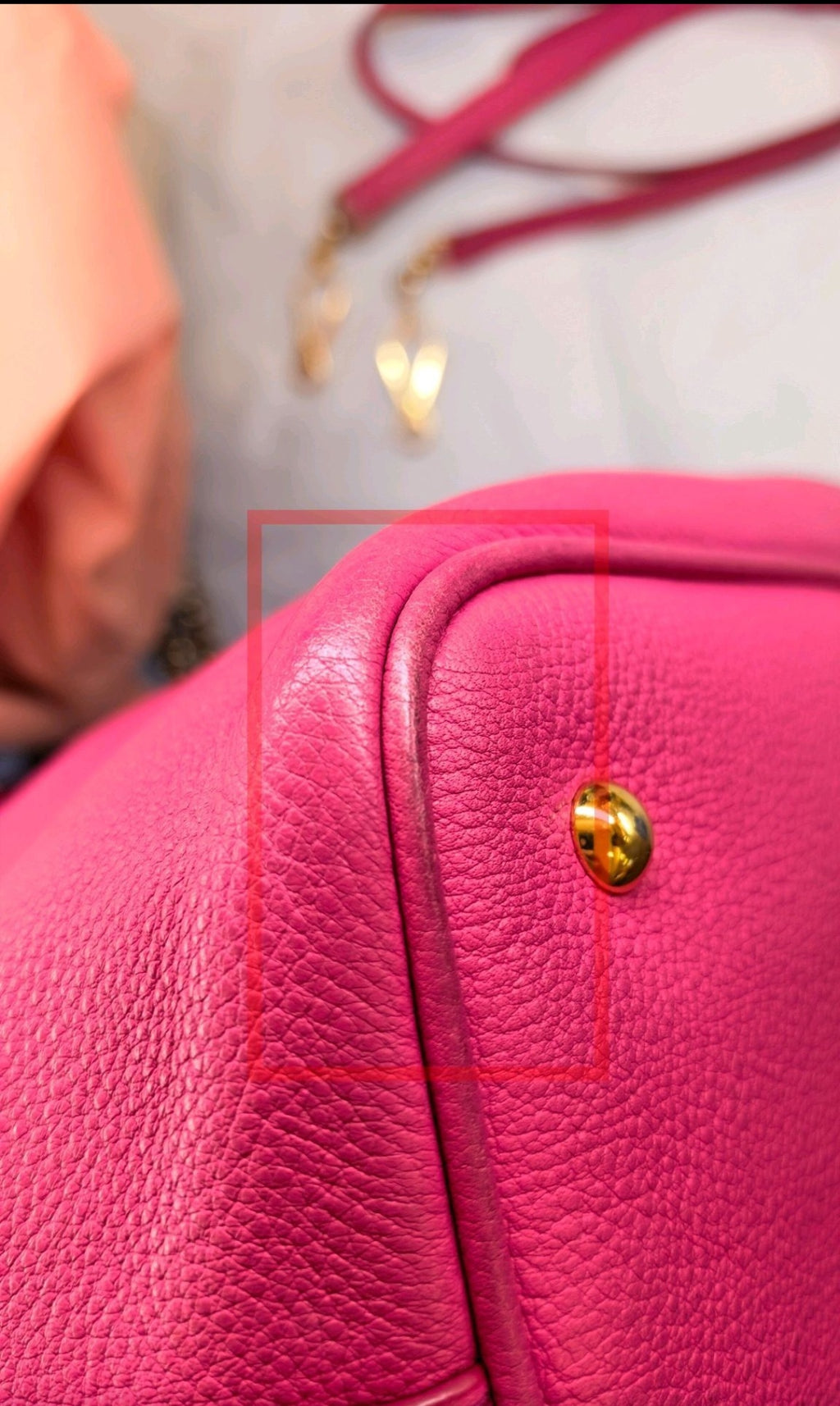 Miu Miu Tote