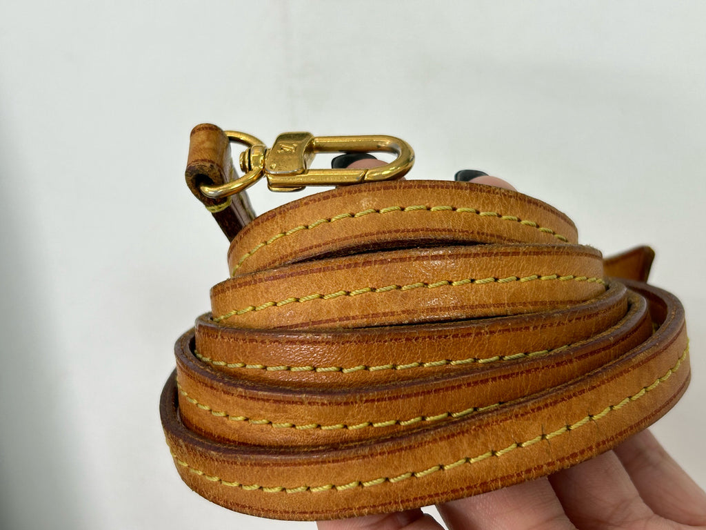 Louis Vuitton Crossbody