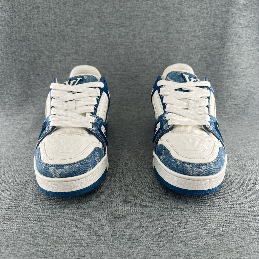 Louis Vuitton Skate shoes