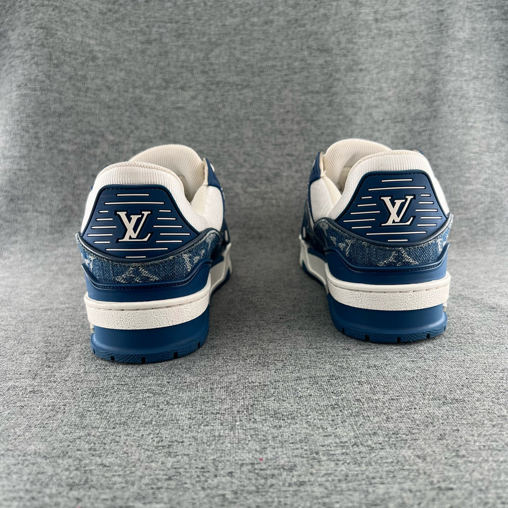 Louis Vuitton Skate shoes