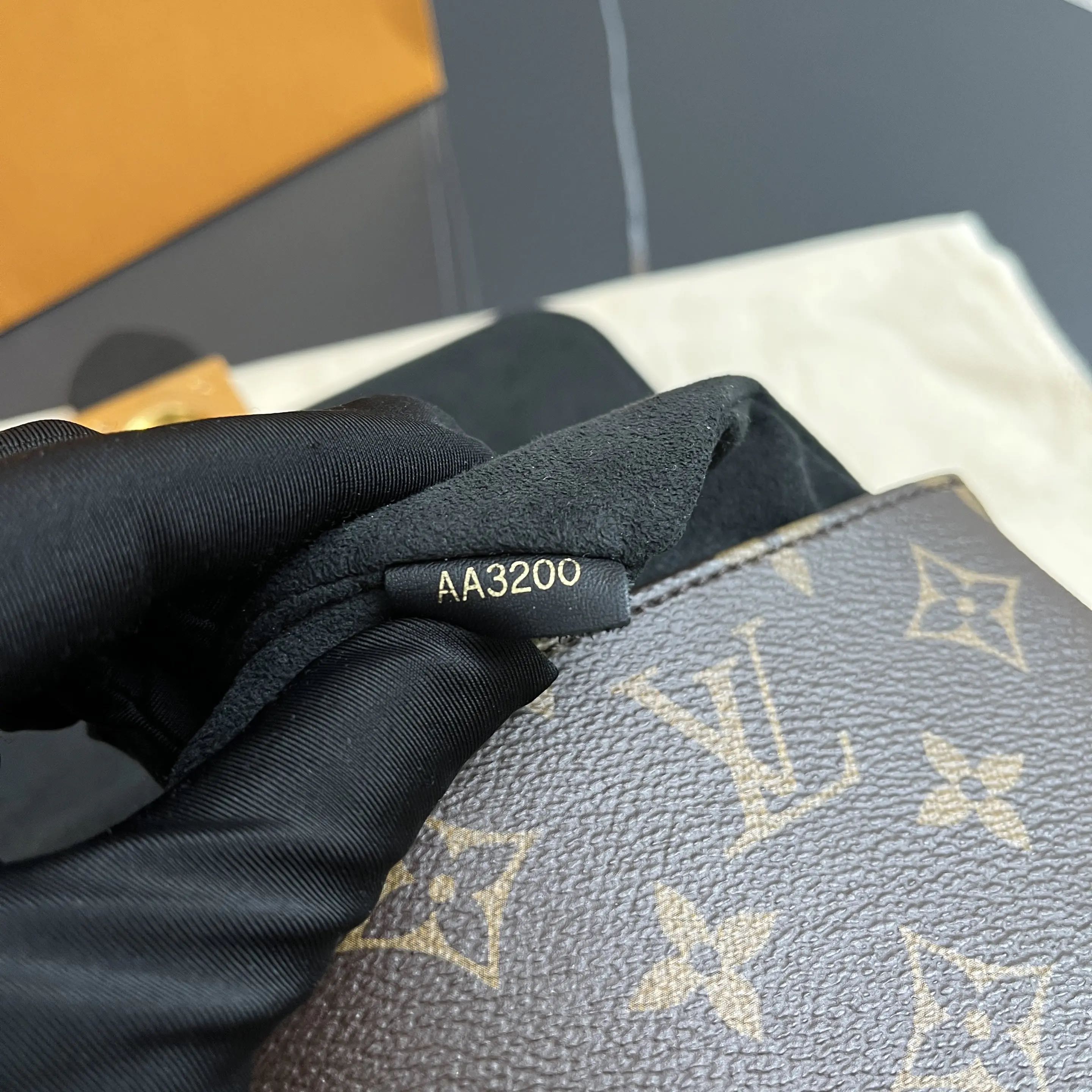 Louis Vuitton Black