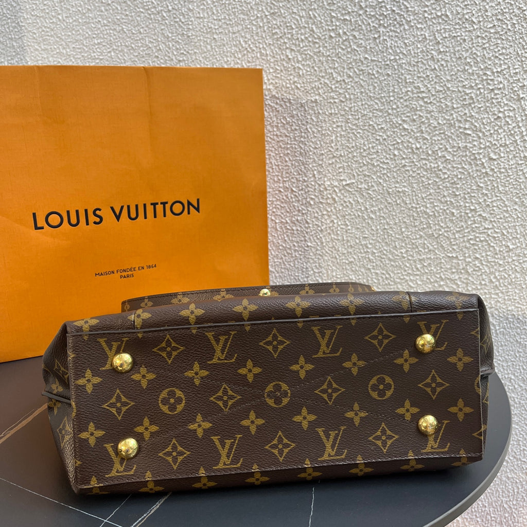 Louis Vuitton Shoulder Bag