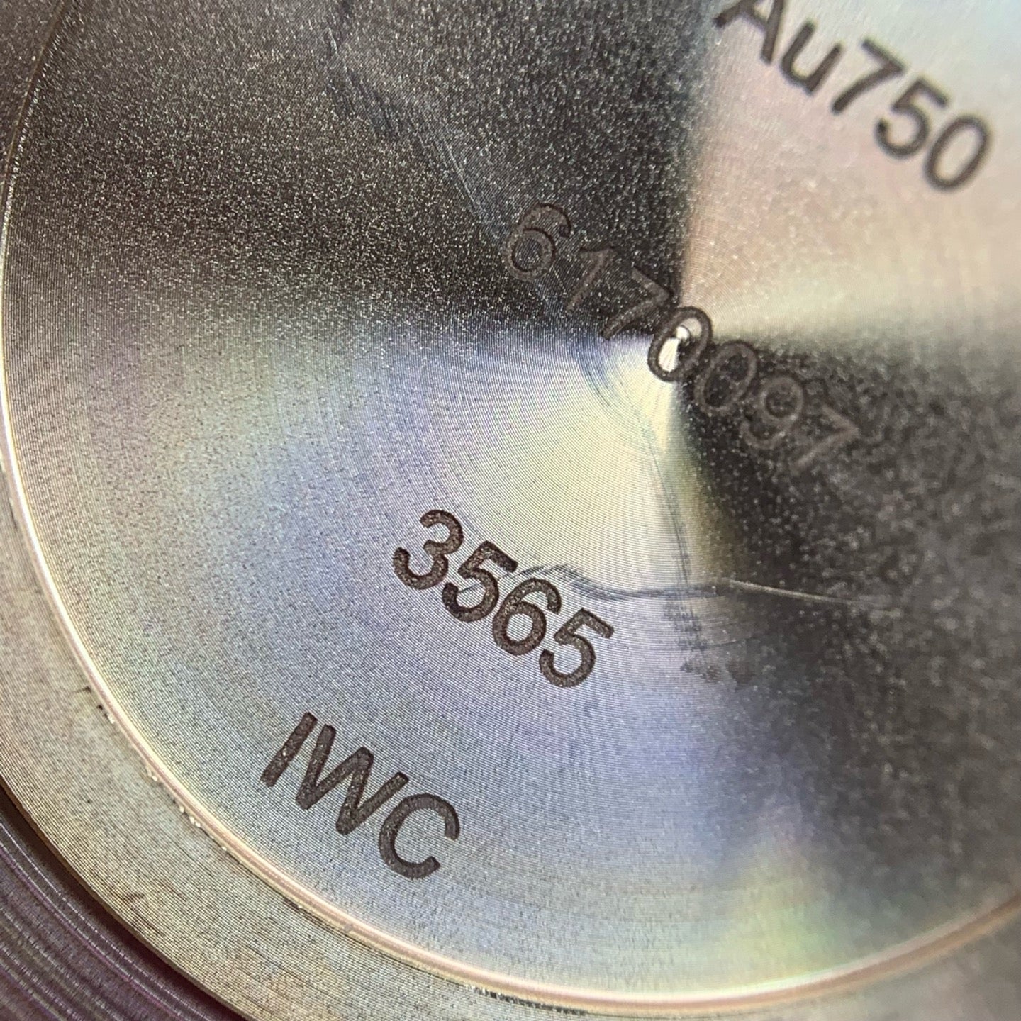 IWC Portofino Collection 40 millimeters IW356504