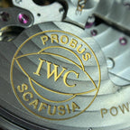 IWC Pilot Series 46.2 MM IW500401