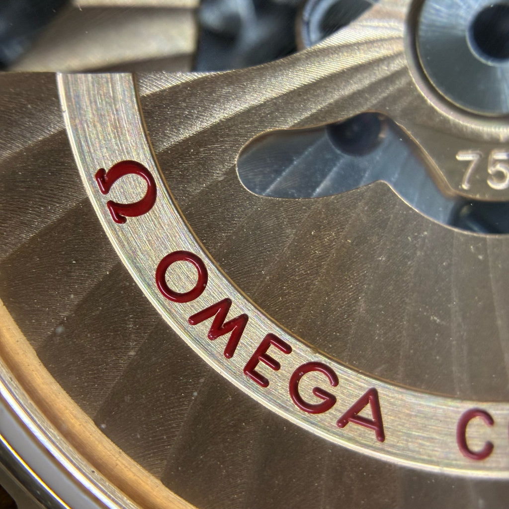 Omega Seahorse 38.5 millimeters 231.53.39.22.02.001