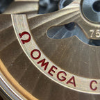 Omega Seahorse 38.5 millimeters 231.53.39.22.02.001