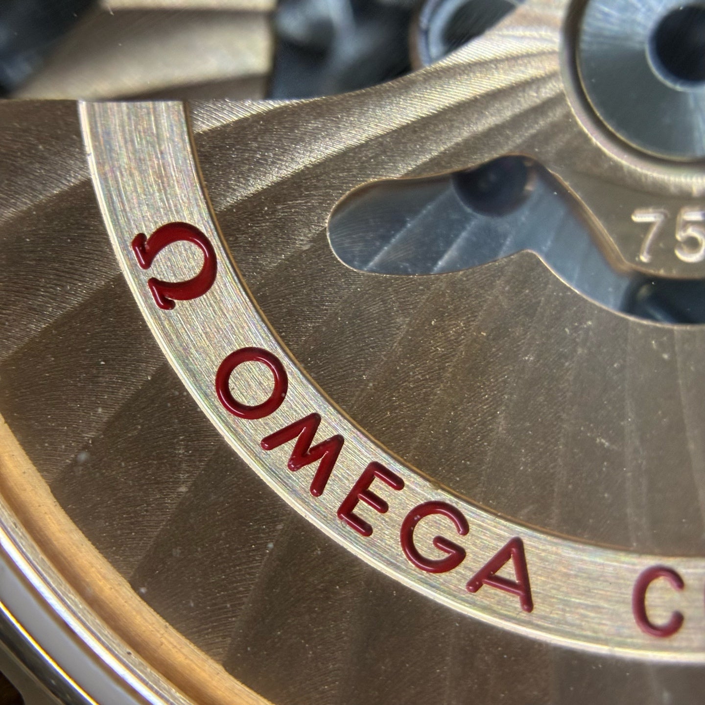 Omega Seahorse 38.5 millimeters 231.53.39.22.02.001