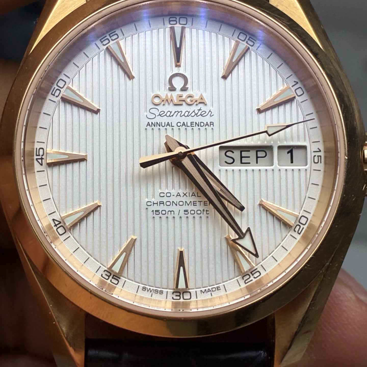 Omega Seahorse 38.5 millimeters 231.53.39.22.02.001