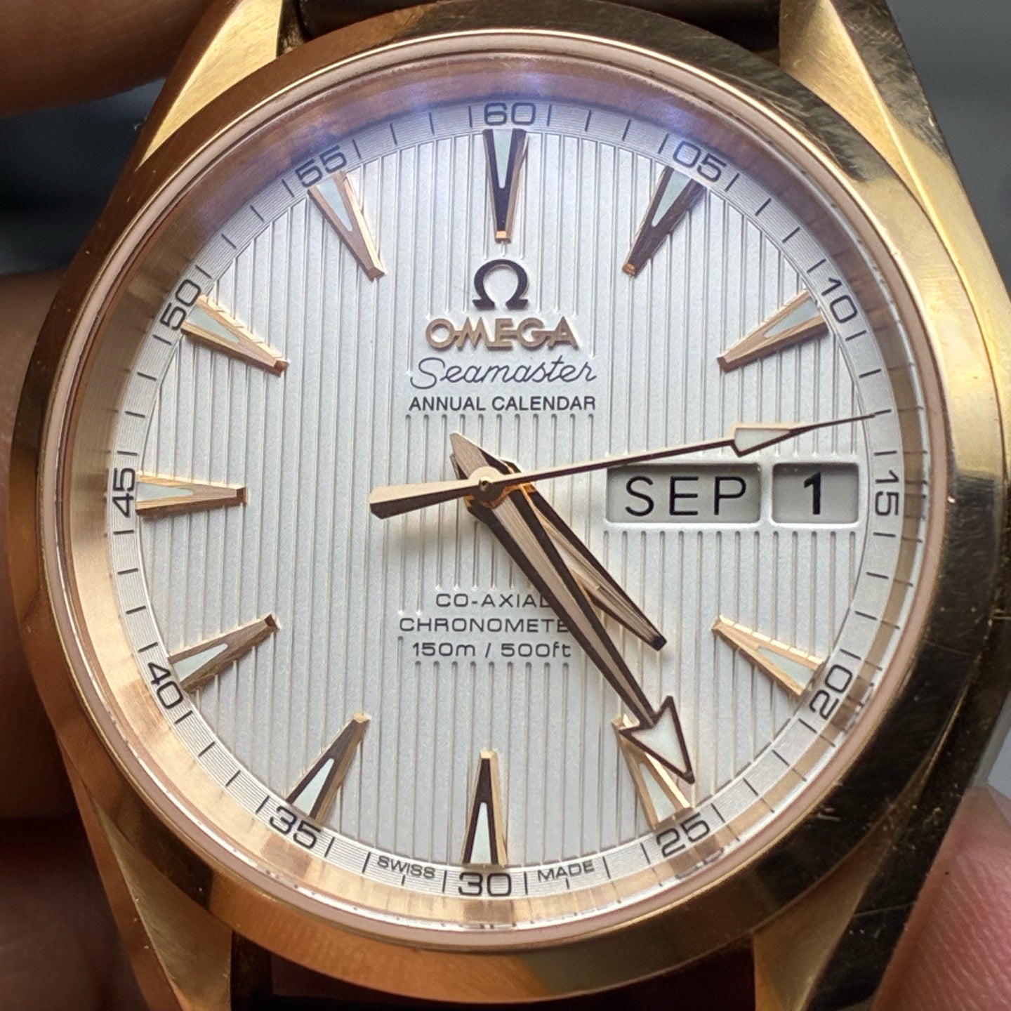 Omega Seahorse 38.5 millimeters 231.53.39.22.02.001
