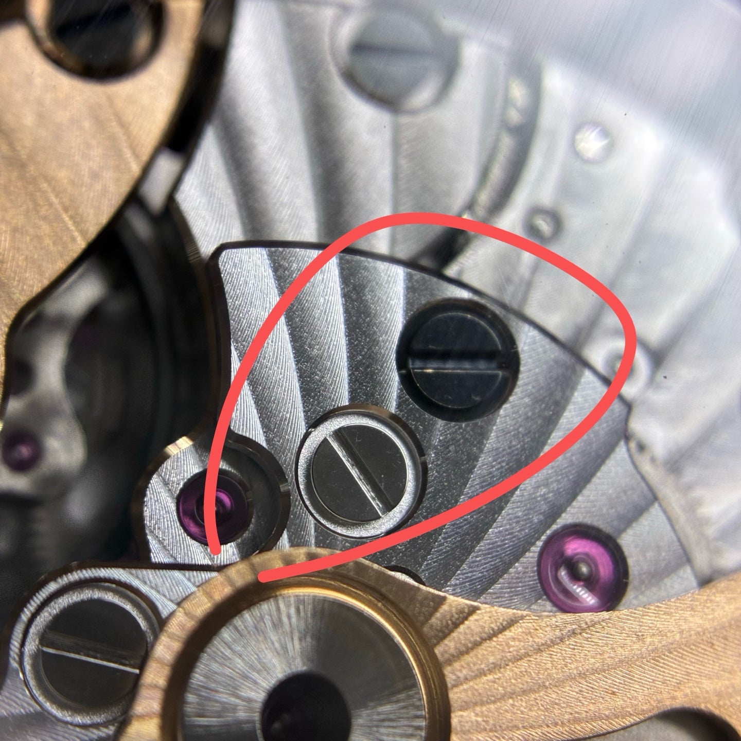 Omega Seahorse 38.5 millimeters 231.53.39.22.02.001