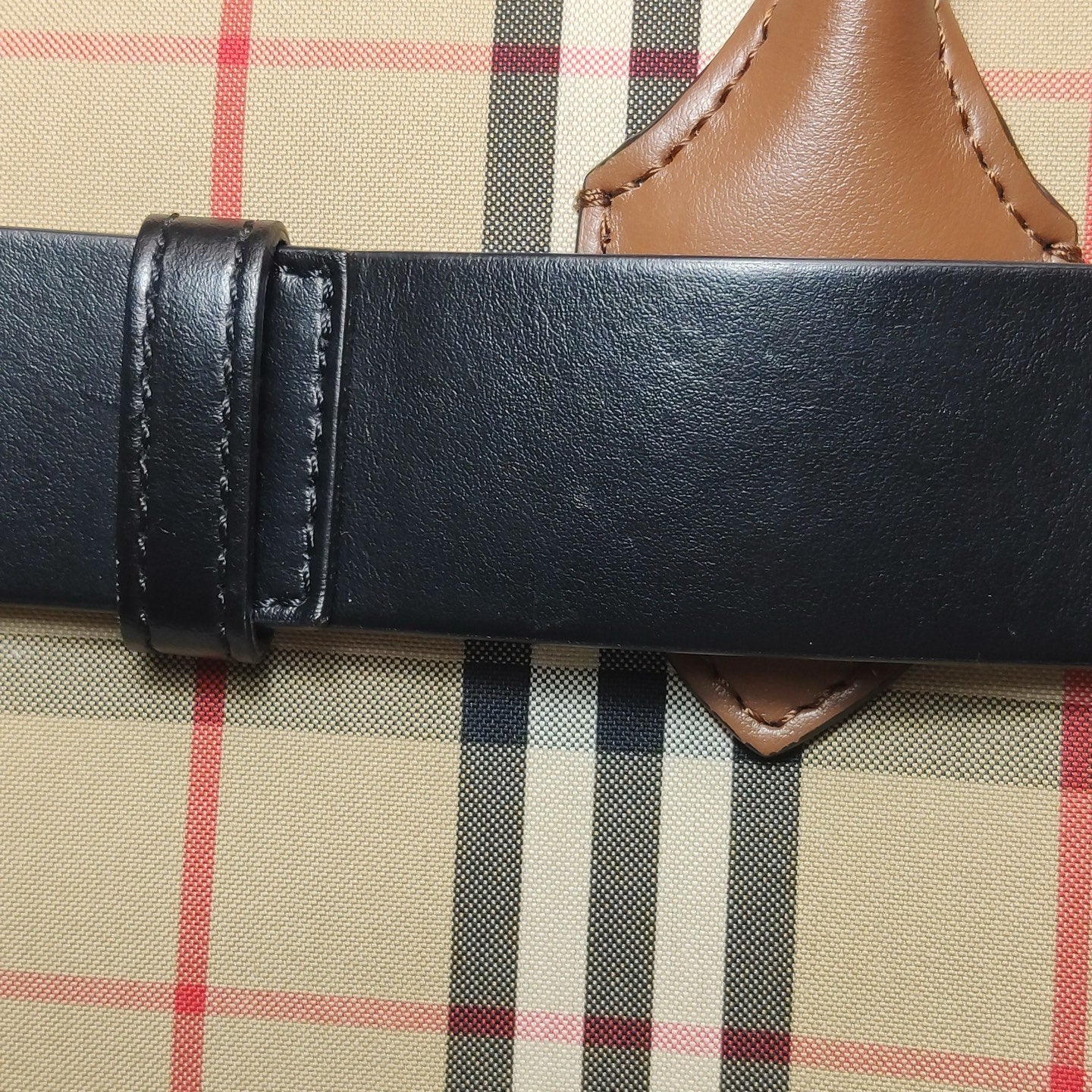Burberry Canvas Crossbody 80159051