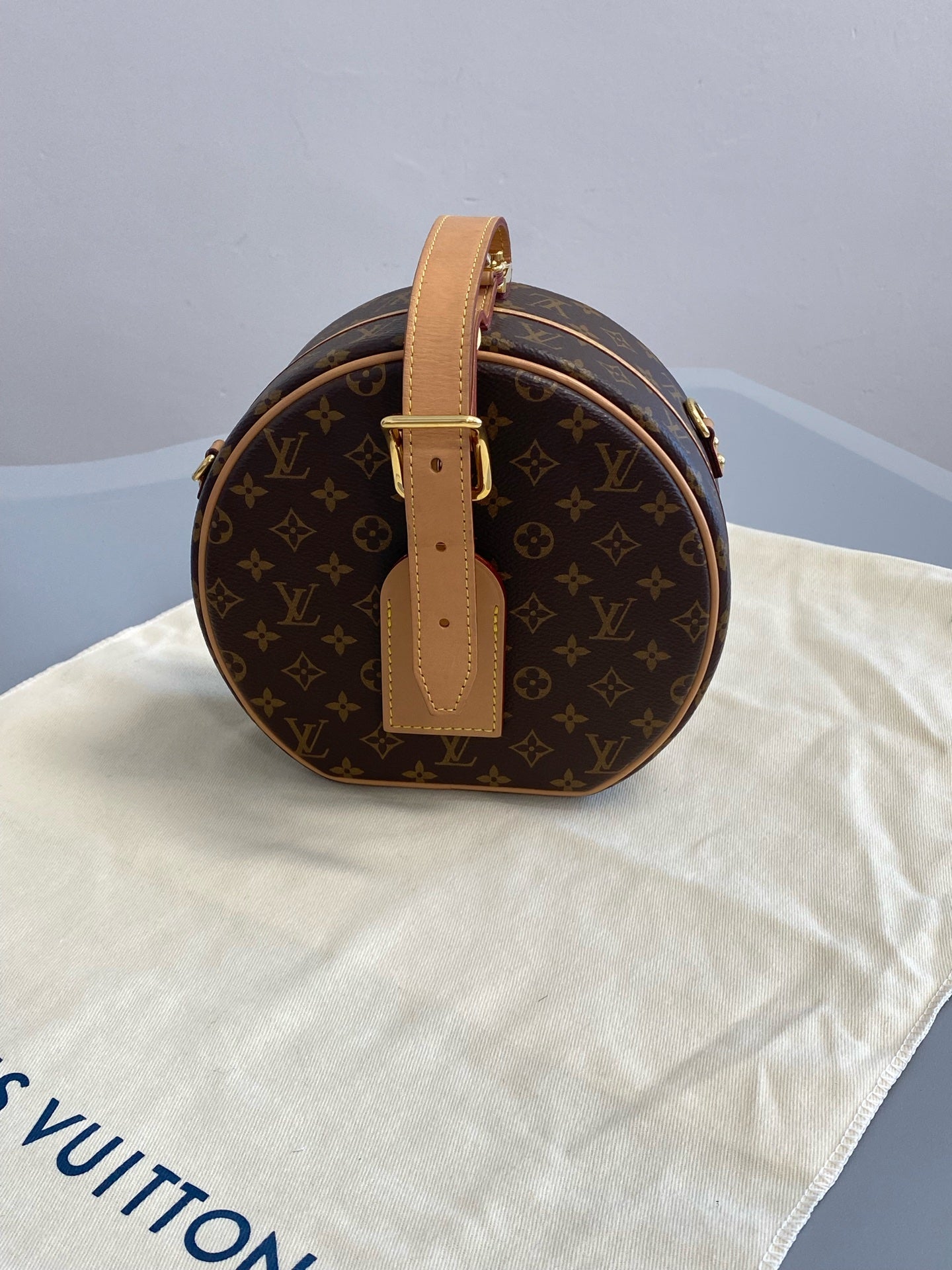 Louis Vuitton 6 Satchel