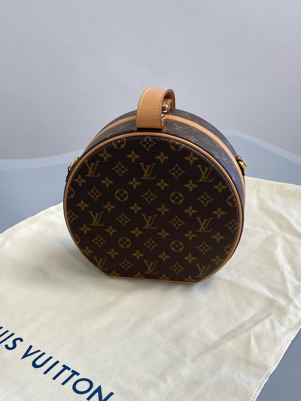 Louis Vuitton 6 Satchel