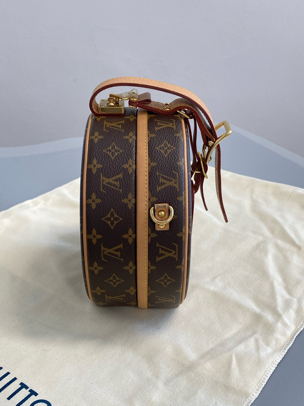 Louis Vuitton 6 Satchel