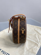 Louis Vuitton 6 Satchel