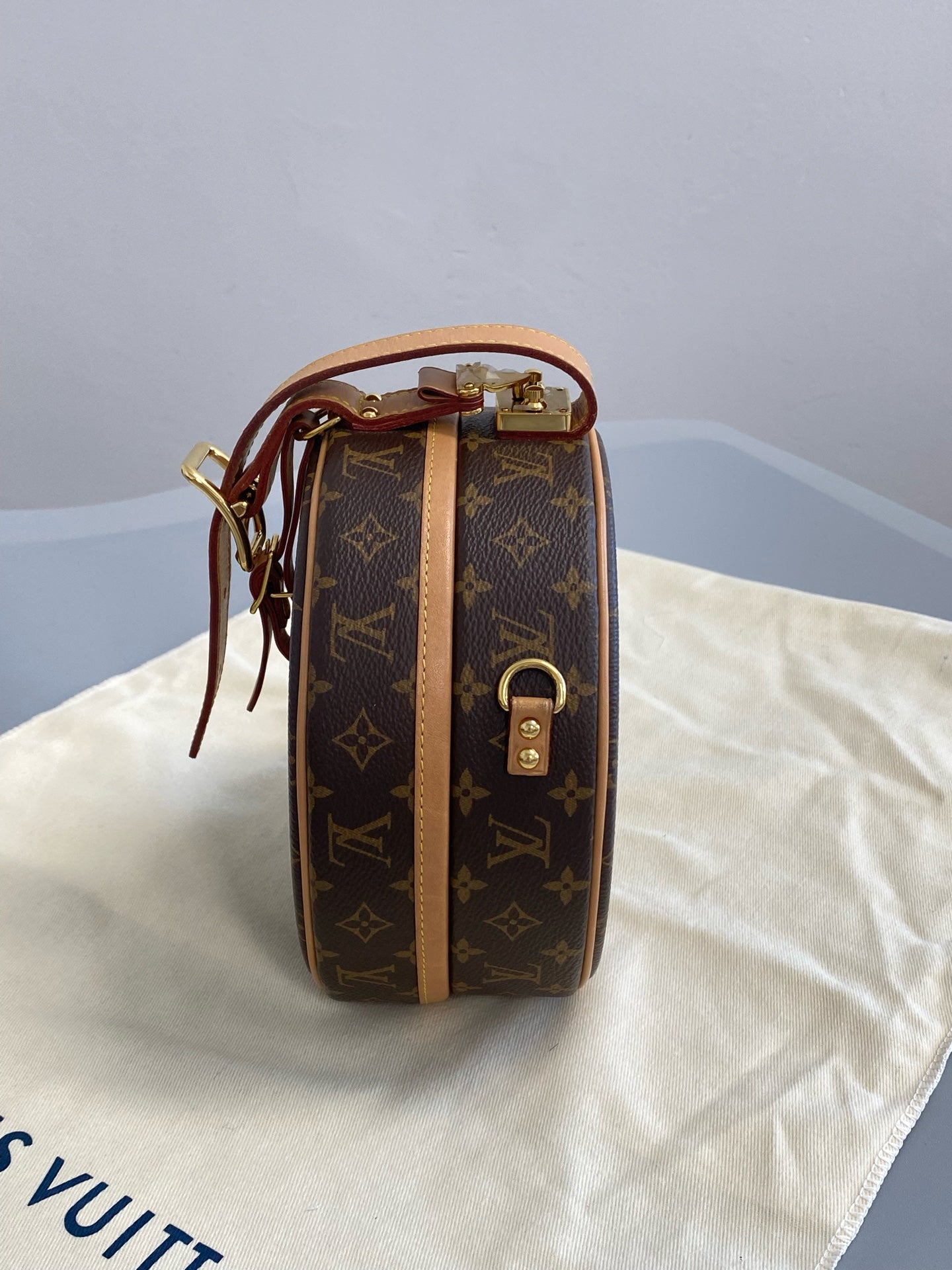 Louis Vuitton 6 Satchel