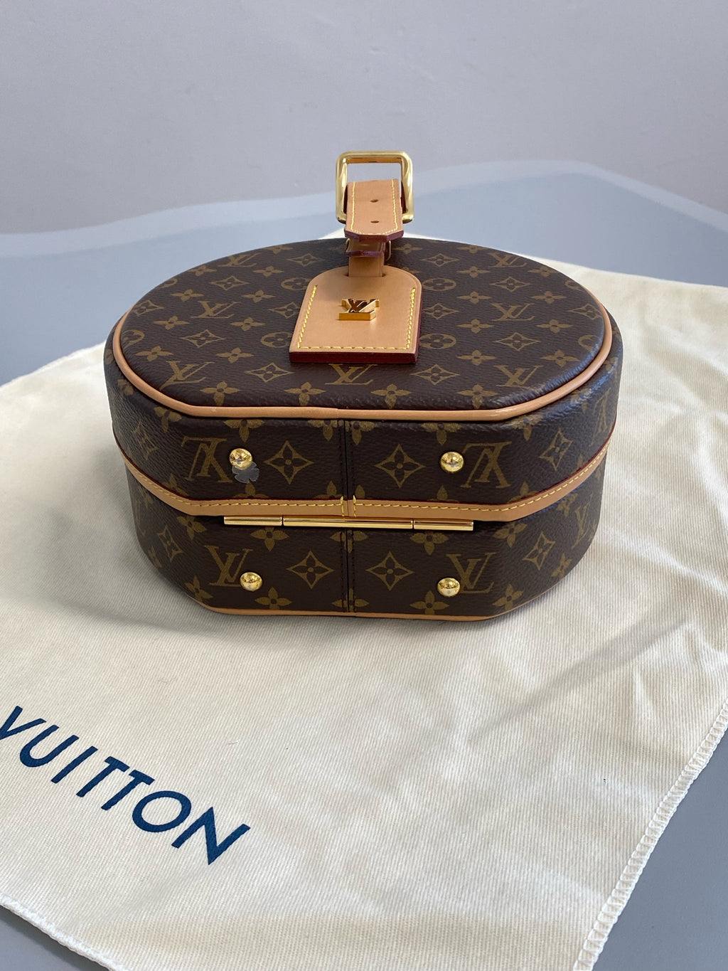 Louis Vuitton 6 Satchel