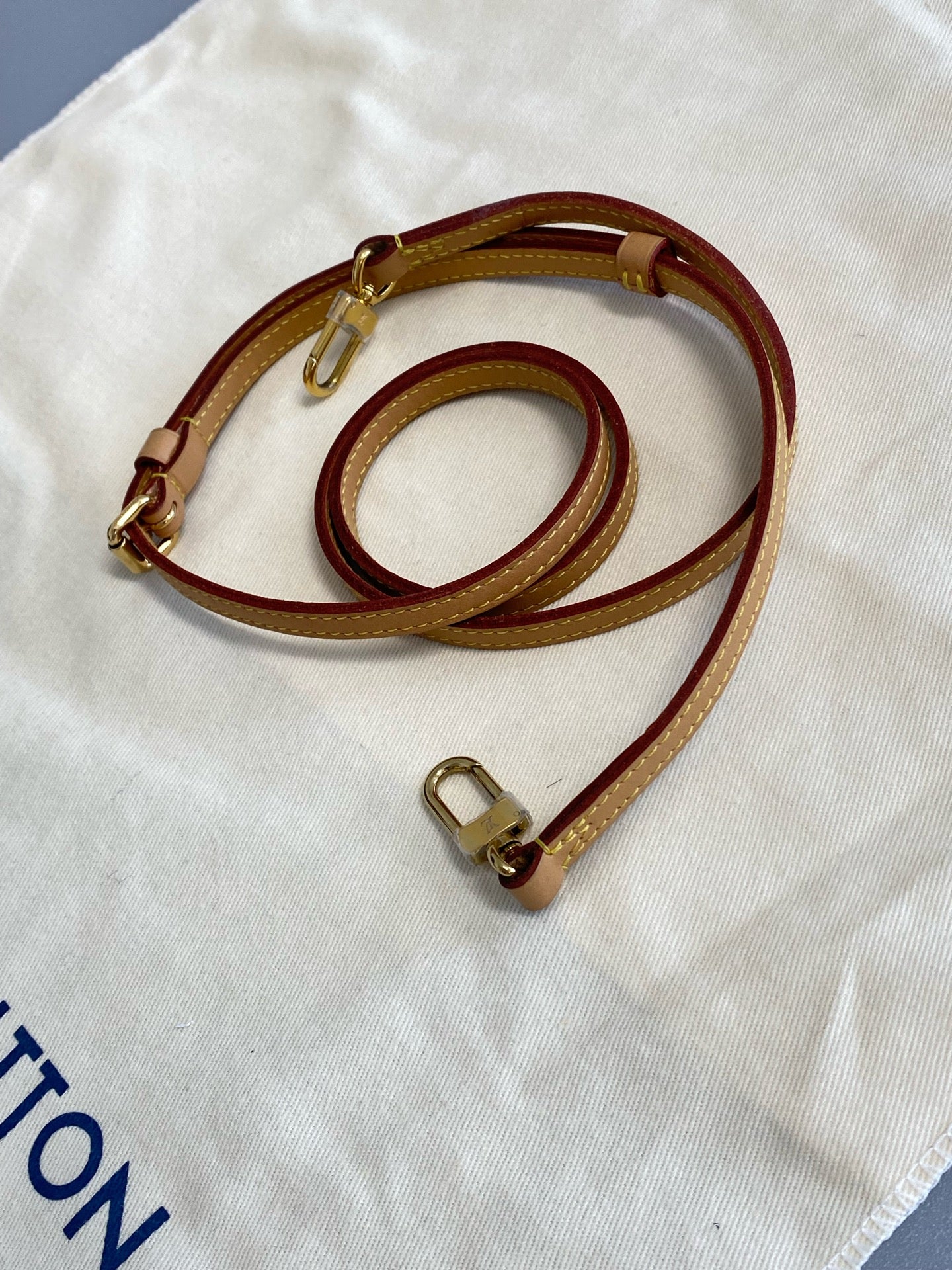Louis Vuitton 6 Satchel