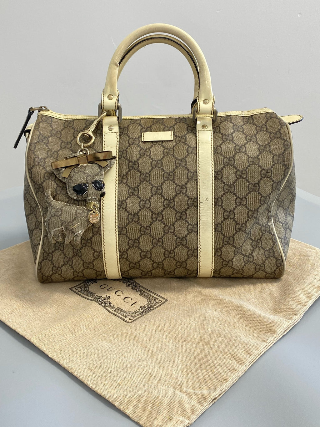Gucci Canvas