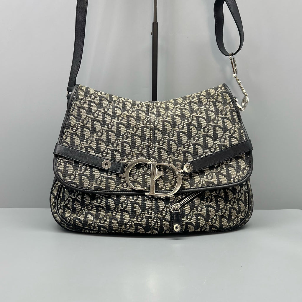 Dior Canvas Saddle Bag