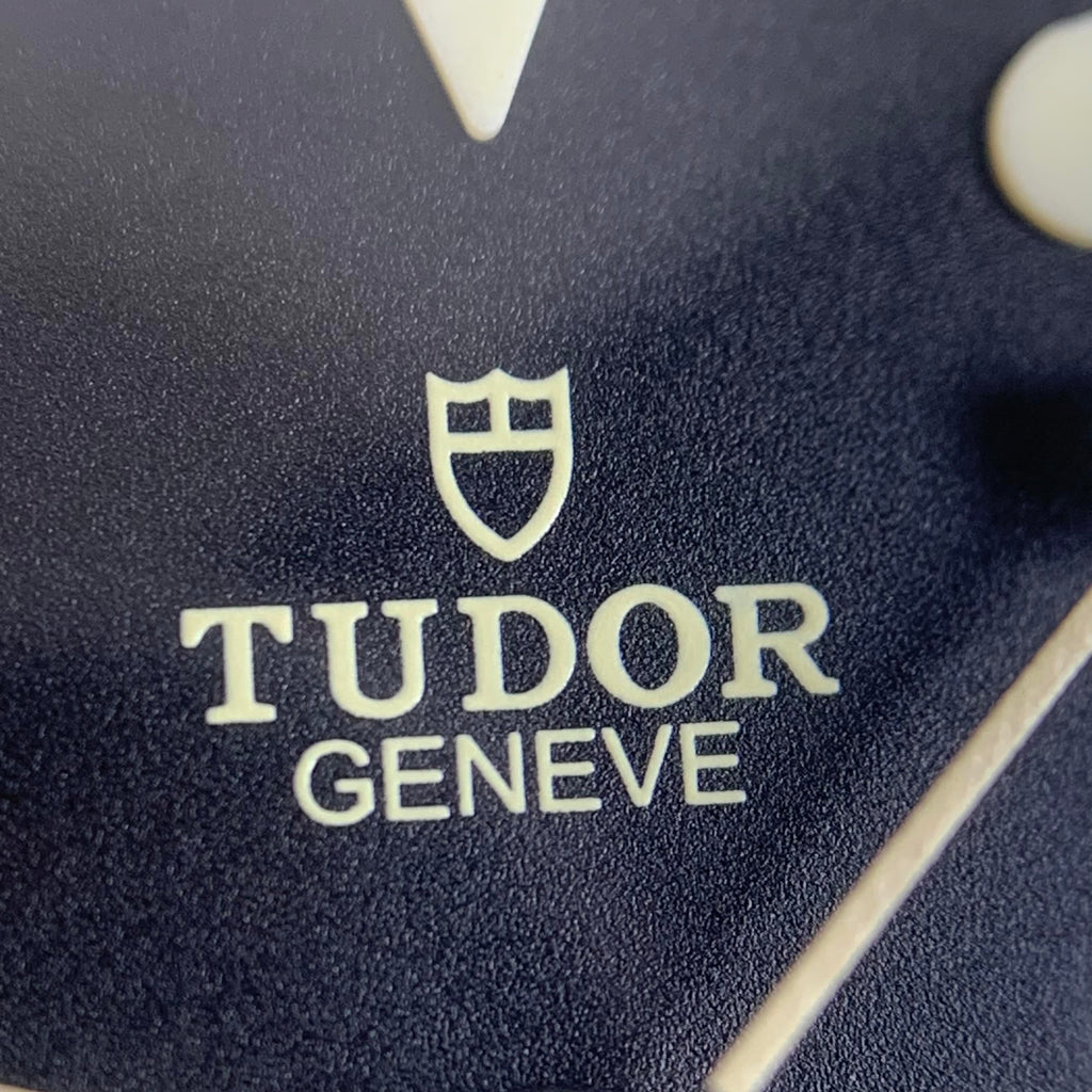 Tudor Biwan Professional Model 39 millimeters m79470-0002