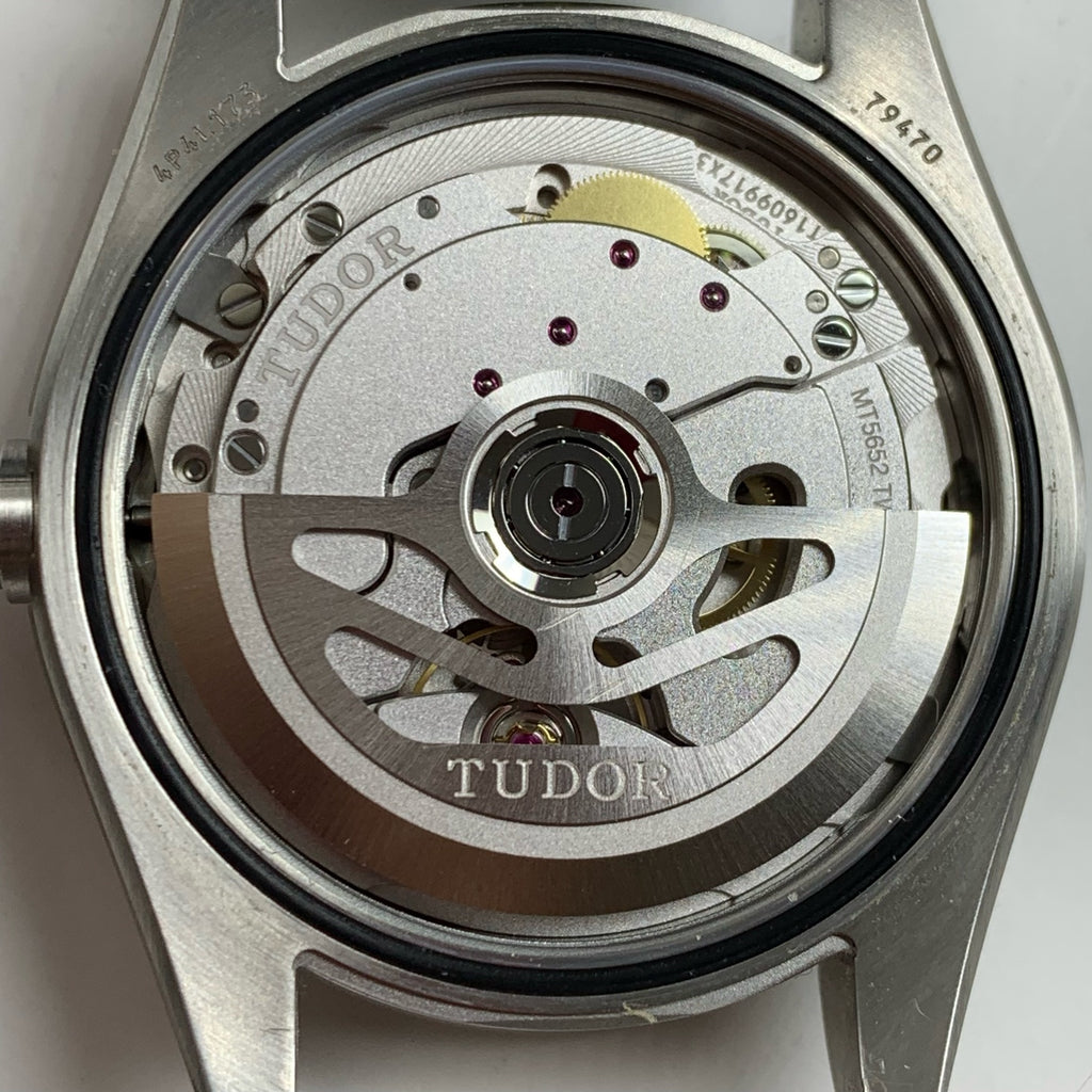 Tudor Biwan Professional Model 39 millimeters m79470-0002