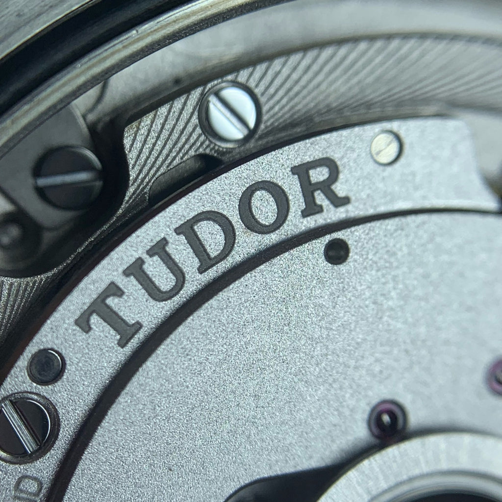 Tudor Biwan Professional Model 39 millimeters m79470-0002