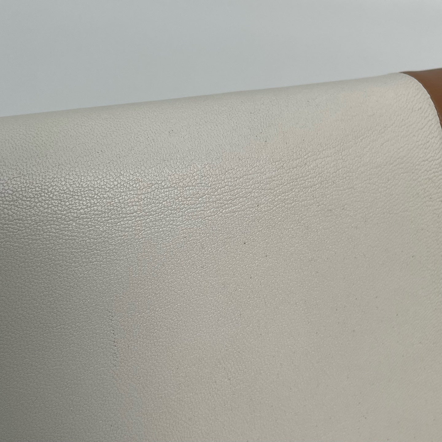 Celine White